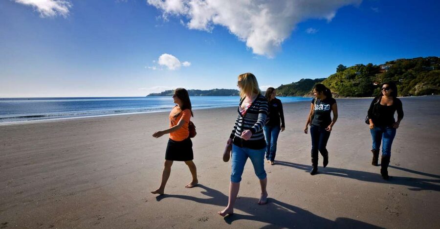 Waiheke Island: Ferry & Hop-On Hop-Off Explorer Bus Tickets - Should you book the ferry and Explorer Bus?