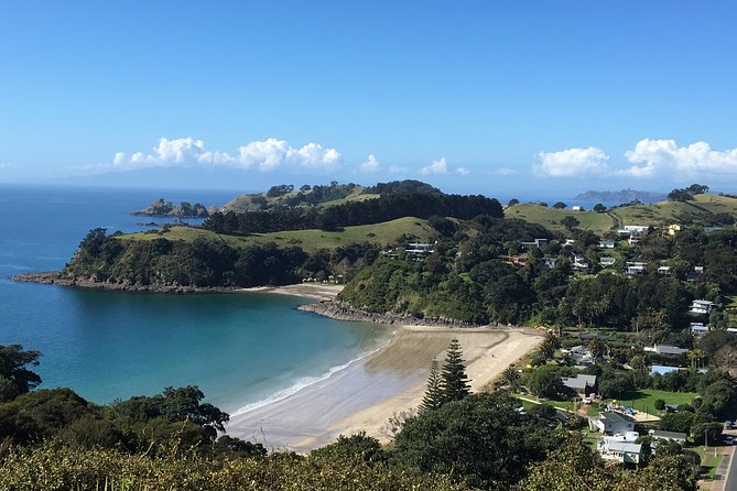 Waiheke Island Hop-On Hop-Off Explorer Bus - Vineyards around Kennedy Point and Goldie