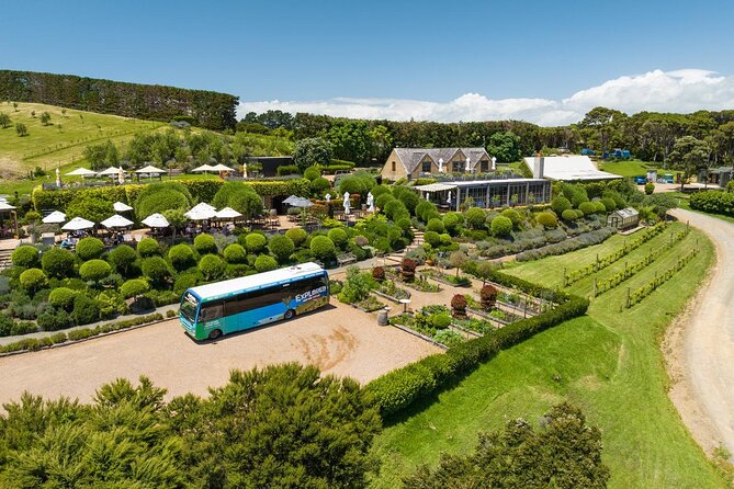 Waiheke Island Hop-On Hop-Off Explorer Bus - Start at Matiatia, and sort out the ferry first