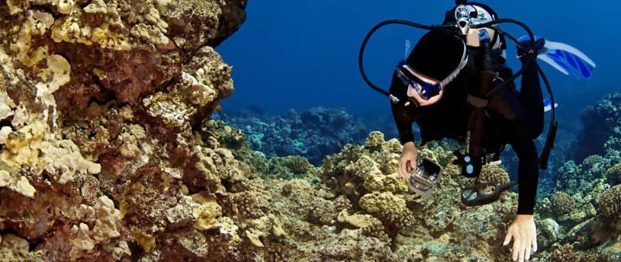 Waikoloa Catamaran Snorkel & Sail Adventure with Lunch - A crew that keeps the mood relaxed