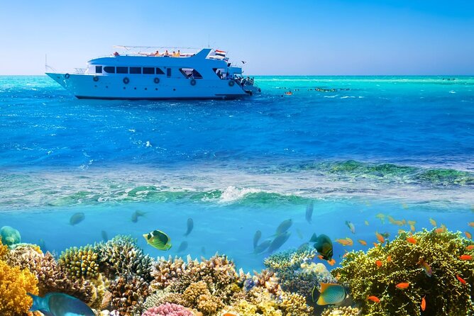 White Island & Ras Mohamed Boat Trip & Diving , lunch from Sharm - What the low price includes, and what it does not