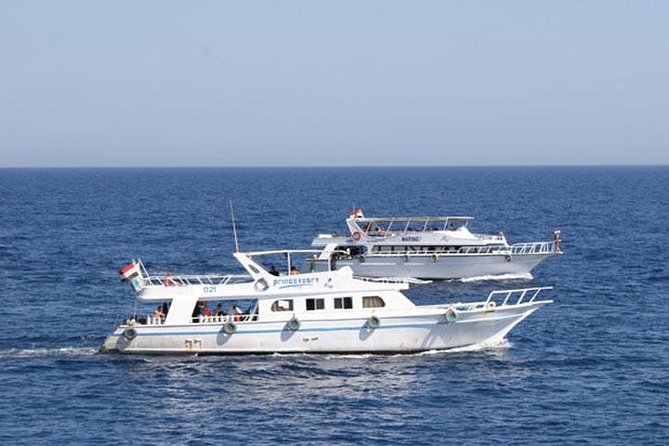 White Island & Ras Mohamed National Park Snorkeling Boat Trip - Group size, language, and service