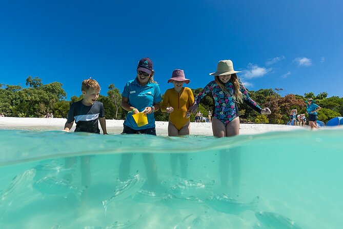 Whitehaven Beach and Hamilton Island Cruise from Airlie Beach - Lunch choices and the small-print detail that matters