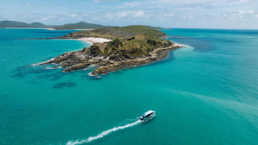 Yeppoon: Great Keppel Island Fast Boat Snorkel & Lunch Tour - Snorkeling among fish and coral
