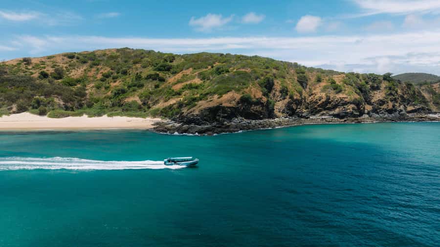 Yeppoon: Great Keppel Island Fast Boat Snorkel & Lunch Tour - Wildlife sightings, with no guarantees