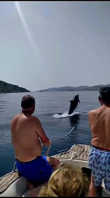 Zadar: Adventure on 6 islands, 3 lagoons, 1 cave, Bio Fruits - Leaving Obala kneza Branimira 27