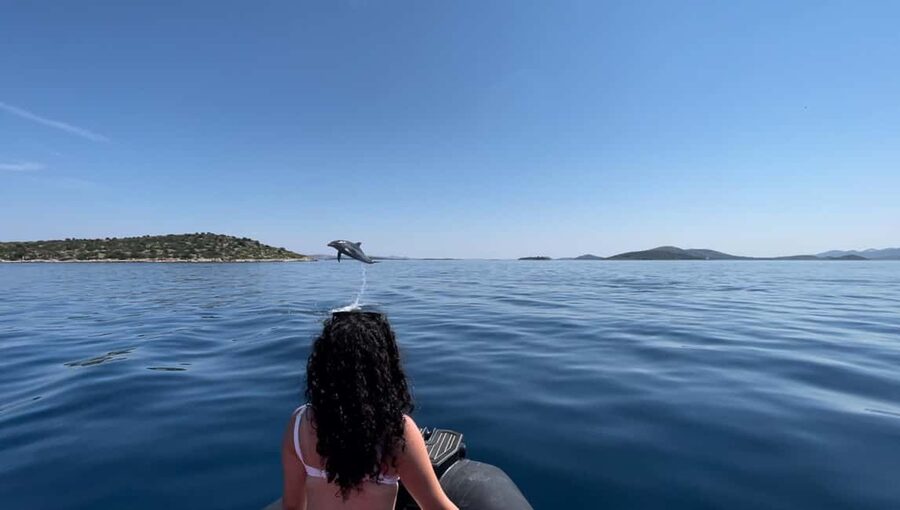 Zadar: Island Luxury Speedboat Tour with Snorkeling - Ošljak: a first stop with room to move